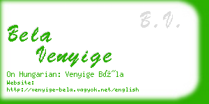 bela venyige business card